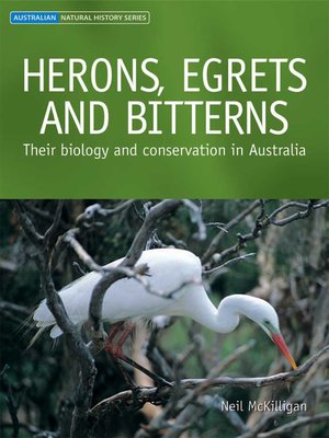 cover image of Herons, Egrets and Bitterns